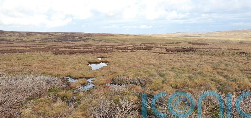 MEPs ‘have to make up mind quickly’ on key EU environmental law, says Ryan