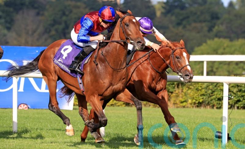 Luxembourg and Auguste Rodin both Irish Champion-bound