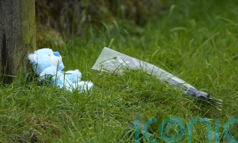 Family left ‘devastated’ after boy and grandparents killed in Co Tipperary crash