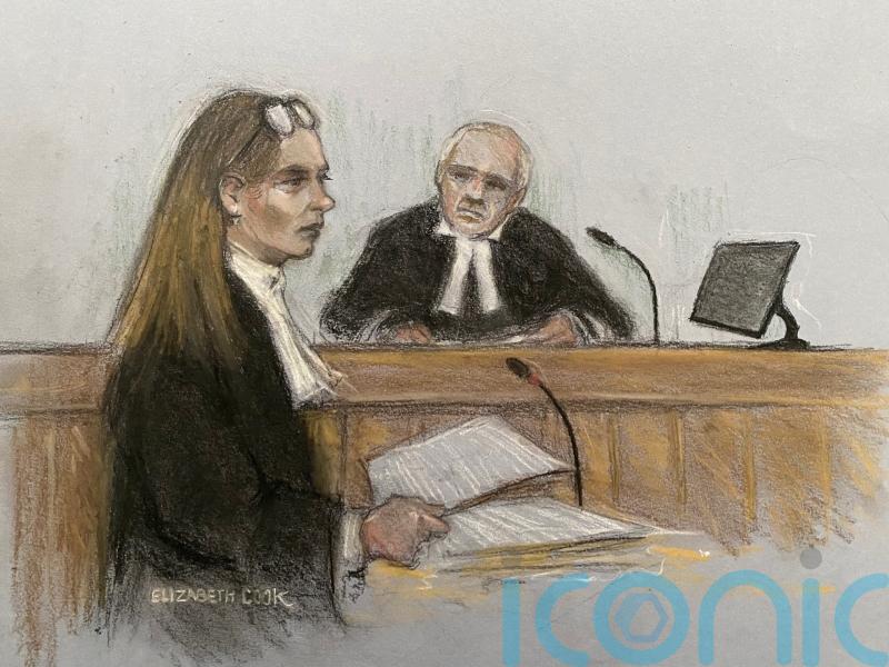 Puska spun ‘foul and contemptible lies’ about Ashling Murphy’s death, court told