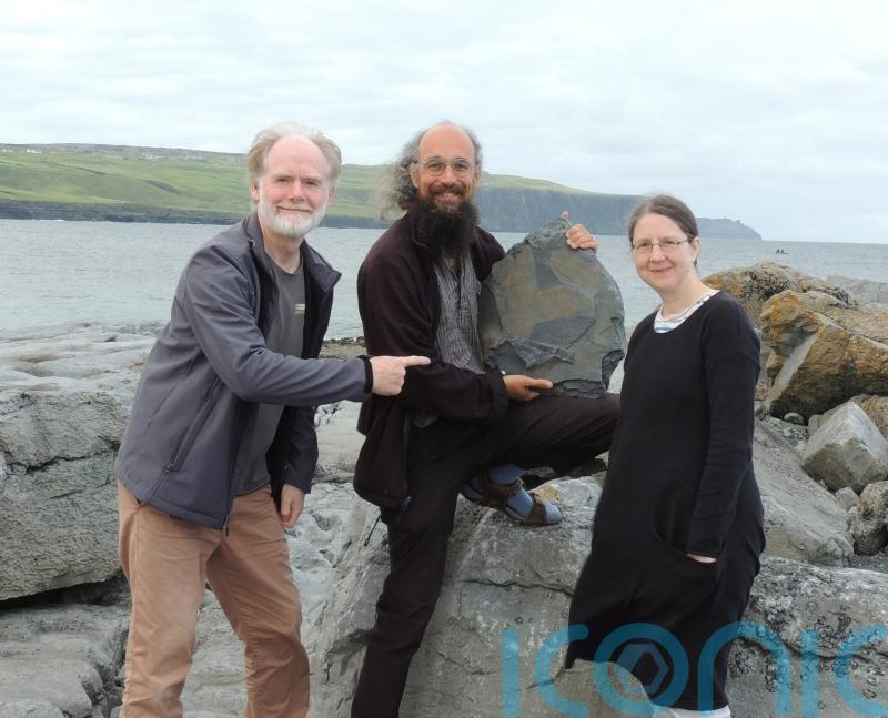 ‘Exceptional’ 315-million-year-old fossil sponge found in Irish cliffs