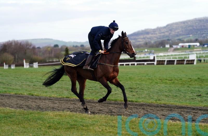 Carlow-based trainer Shark prepping Hewick for National attack – but first is the Gold Cup