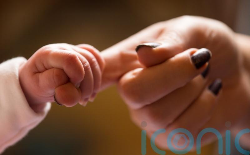 Bishops issue warning on proposed changes on family and care in constitution