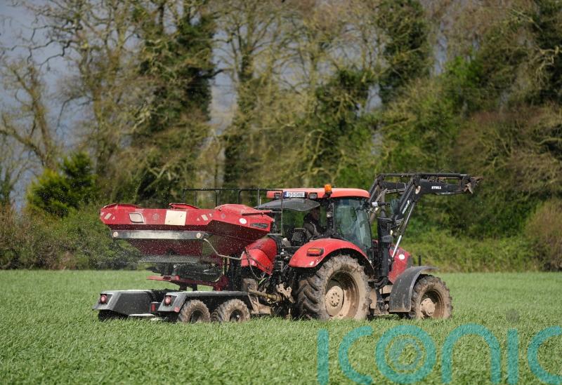Wheat, barley and oat production declined by a fifth in 2023 – CSO