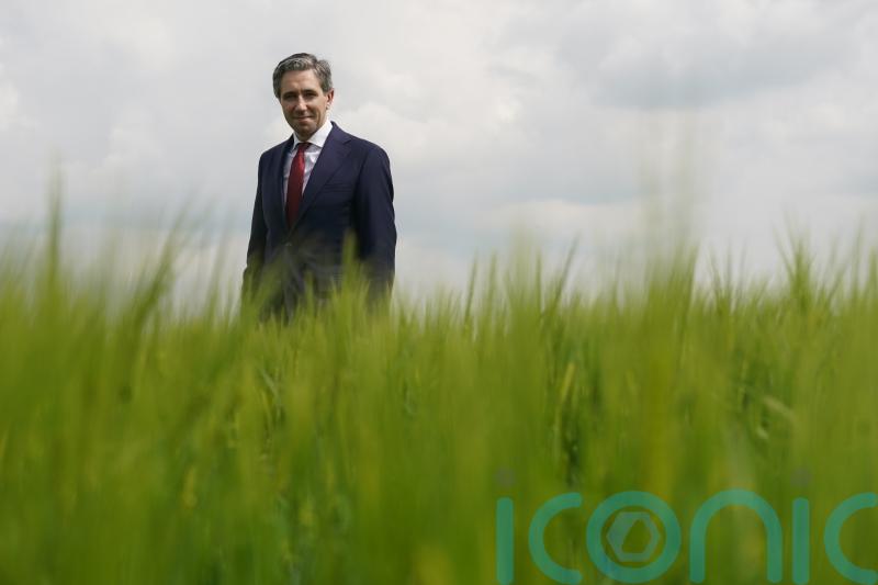 No need to reduce cattle numbers to hit carbon emissions target – Taoiseach