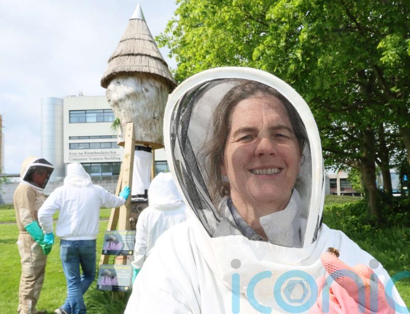 Researchers call on citizen scientists to support ‘Plan Bee’