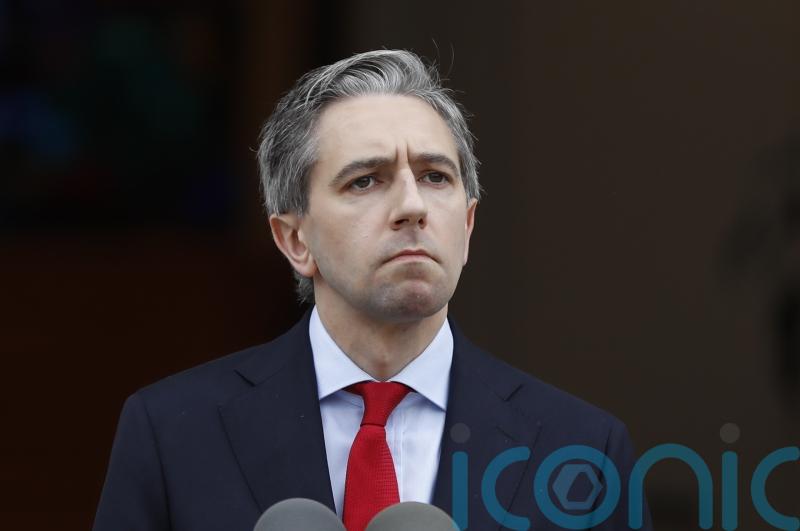 Taoiseach ‘pushed and member of Garda hit’ during election canvass in Co Mayo