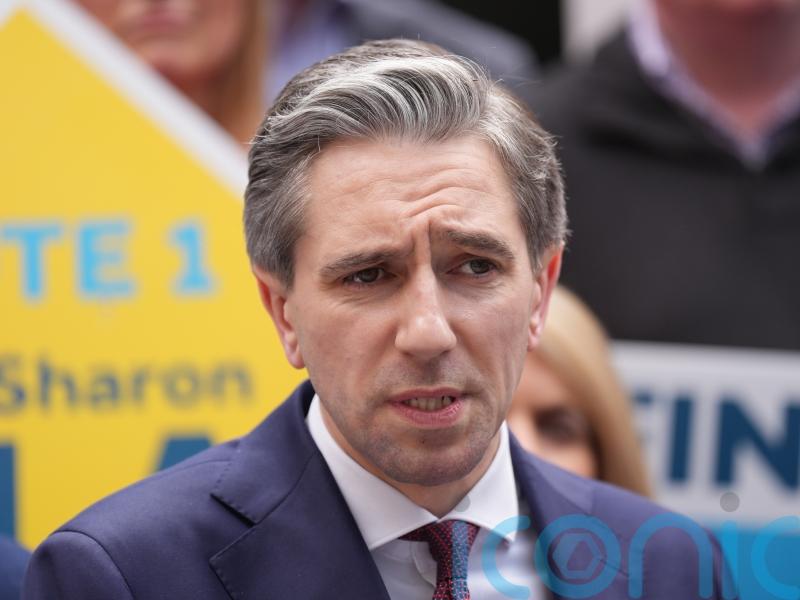 Probe after protesters disrupt Harris election canvass in Co Mayo