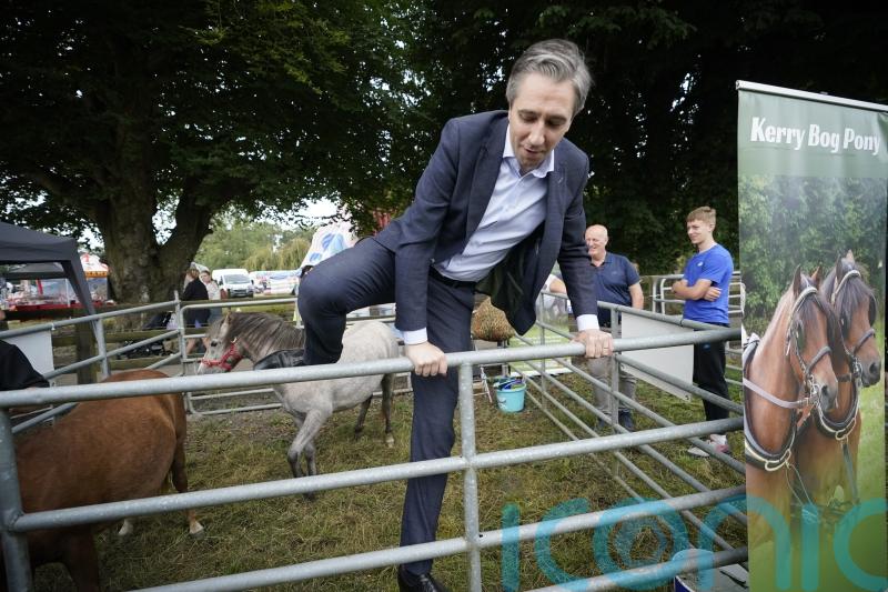 ‘Offensive’ to call active farmers 'land hoarders', Taoiseach says