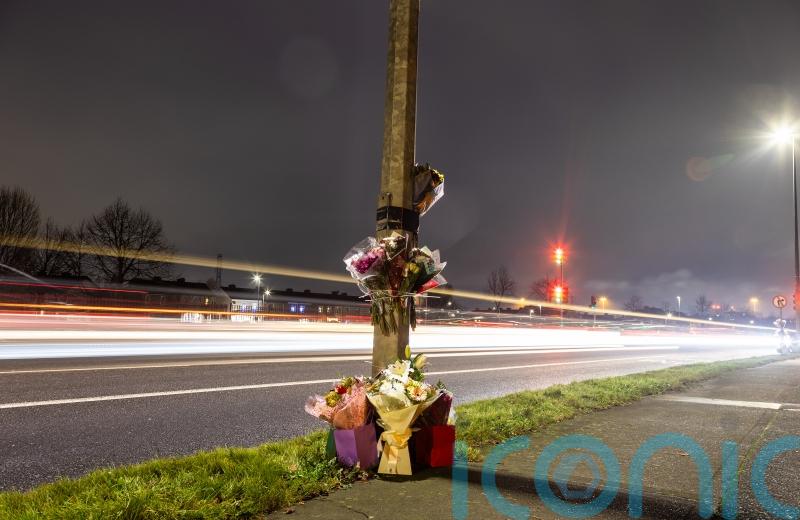 Man appears in court over fatal hit-and-run of husband and wife on St Stephen's Day