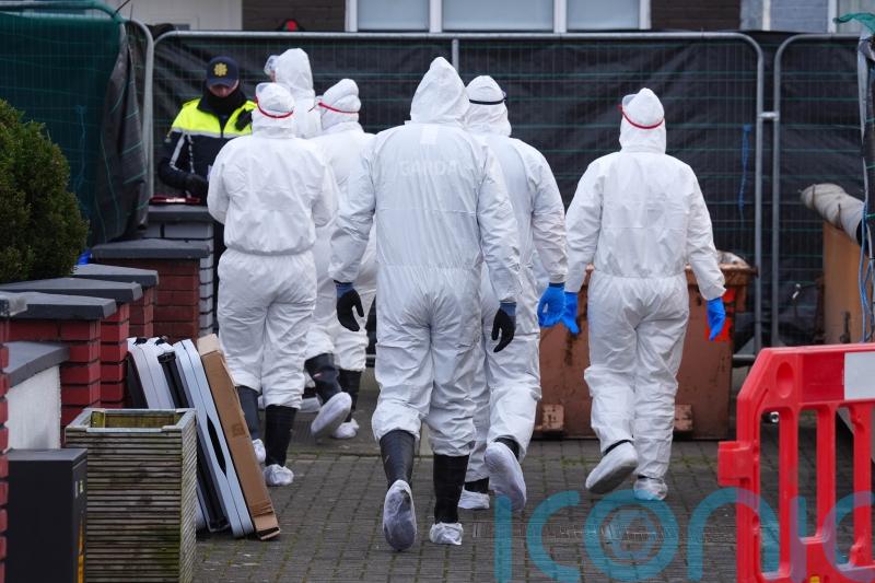 Search in missing Meath mother murder probe continues