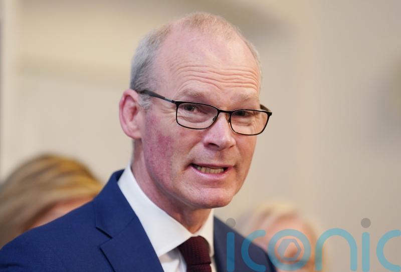 Ex-minister backs calls for government support for firms affected by US tariffs