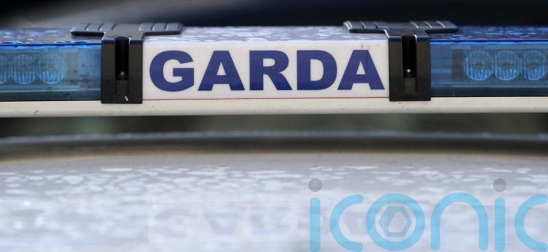 Woman dies after being stung by bees in Co Mayo