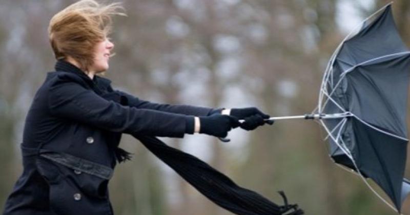 'Very windy today with scattered showers' Carlow Weather man provides weather update
