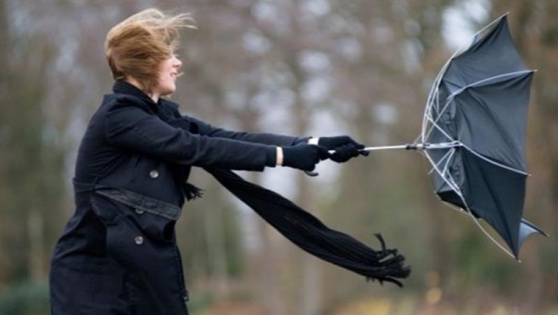 WEATHER: Carlow issued with another weather warning as Strom Éowyn arrived overnight 