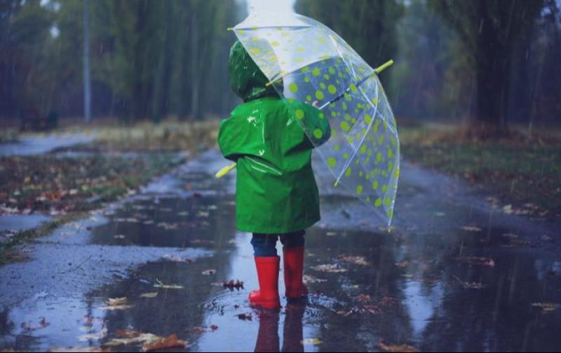 'We have showers tonight and tomorrow' Carlow Weather forecast for the day 