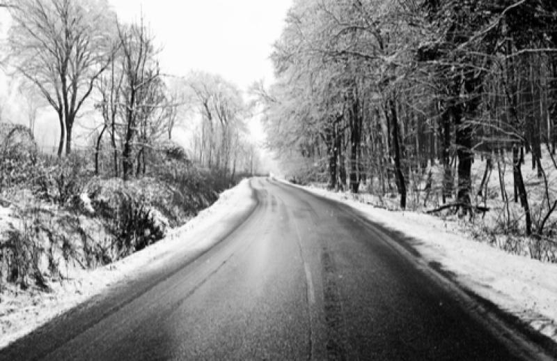 WEATHER: Weekend weather forecast as County Carlow begins to thaw 