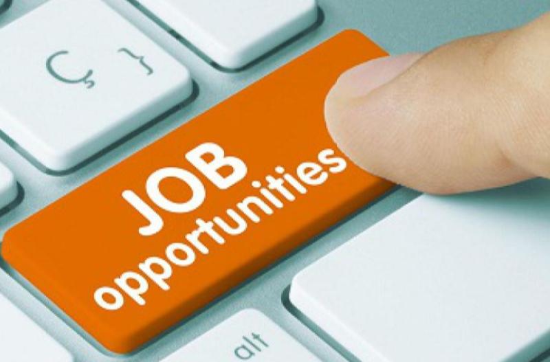 Carlow Local Enterprise Office clients have created more than 314 jobs in 2024