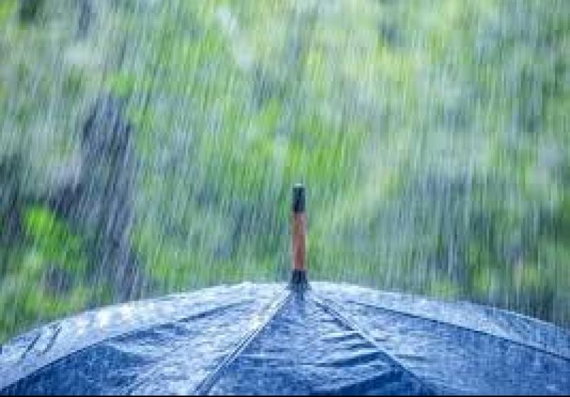 WEATHER: 'Heavy rain at times' Carlow daily weather forecast and it doesn't look good