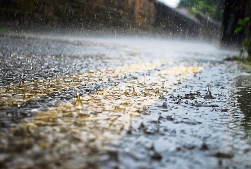 WEATHER: Heavy showers but 'sunny spells following behind' says Carlow forecaster