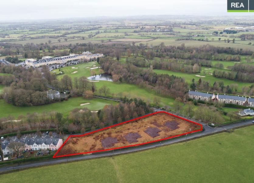 Site with planning for five houses on grounds of Mount Wolseley put up